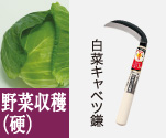 野菜収穫（硬）