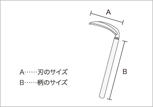 サイズの見方